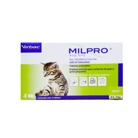 Milpro Kitten
