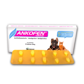 Ankofen Tabletas