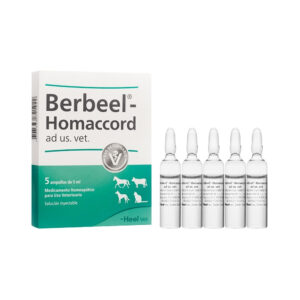 Berbeel Vet  x1 Amp