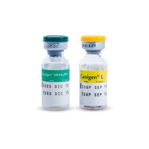 Canigen MHZ2PPI /L- Quintuple  x 1Dosis