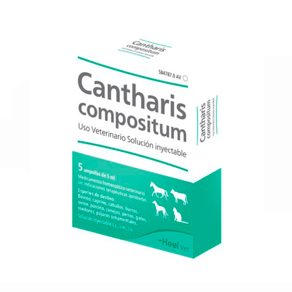 Cantharis Compositum x 1 Amp