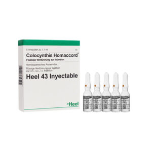 Colocynthis Homaccord Iny  x1 Amp