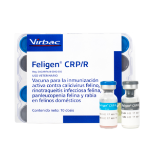 Feligen? CRP/R x 1und