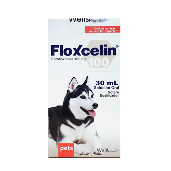 Floxcelin Oral x 30 ml