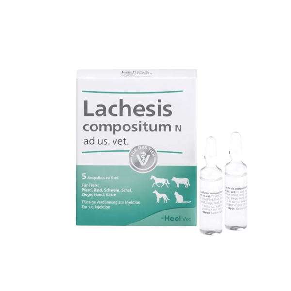 Lachesis Compositum x 1 Amp