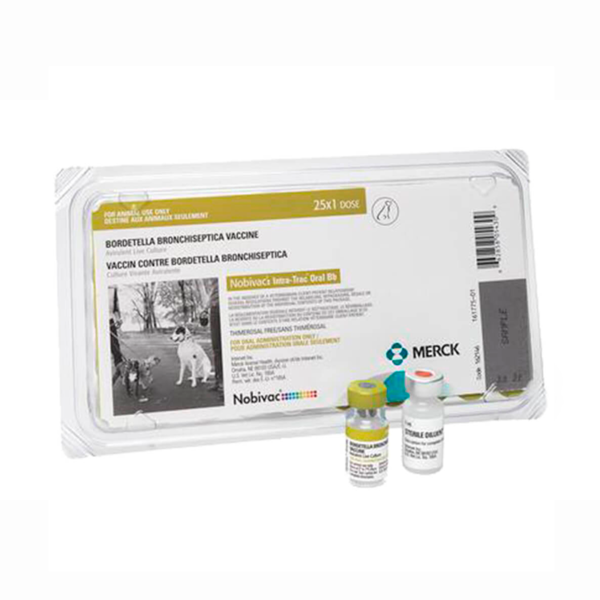Nobivac Intra-Trac ORAL Bb X 1 dosis