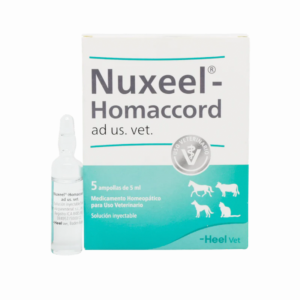 Nuxeel Homaccord x1 AMP