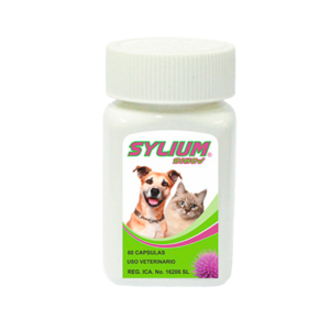 Sylium (Silyvet) 60 Cap