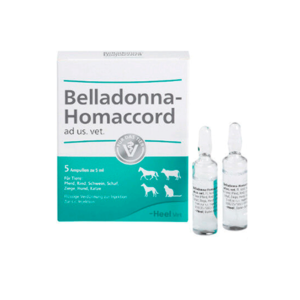 Belladonna Homaccord x 1.1 ml x1 Amp