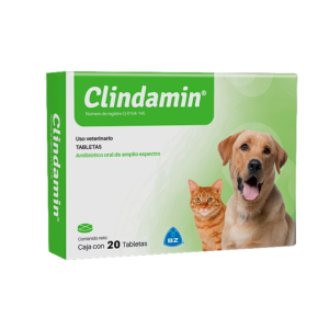 Clindamin x 20 Tab
