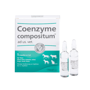 Coenzyme Compositum x1 Amp