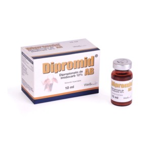 Dipromid AB x 10 ml