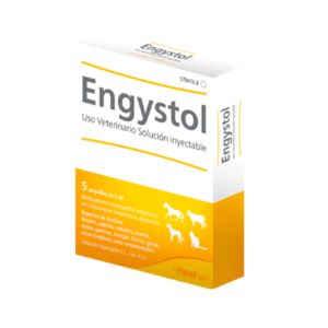Engystol x1 Amp