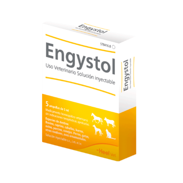 Engystol x1 Amp