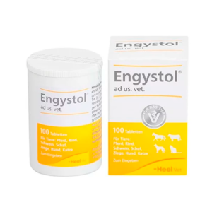 Engystol Comprimidos