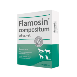 Flamosin Compositum  x1 Amp