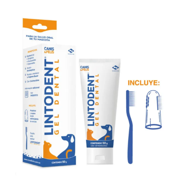 Lintodent 50 g ? Gel Dental