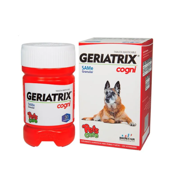 Geriatrix Cogni x 30 Comp
