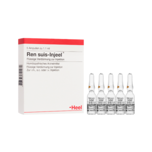 Ren Suis x 1 AMP