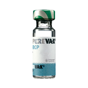 PUREVAX? RCP x 1 ds
