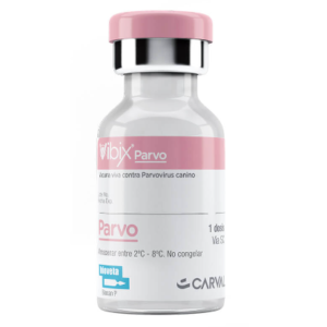 Vibix Parvo x 1 DS
