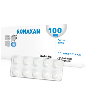 RONAXAN 100 MG X 10 TAB