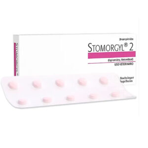 STOMORGYL 2 MG X 20 TAB