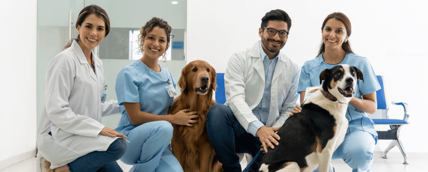 Mercadeo-para-tu-clínica-veterinaria