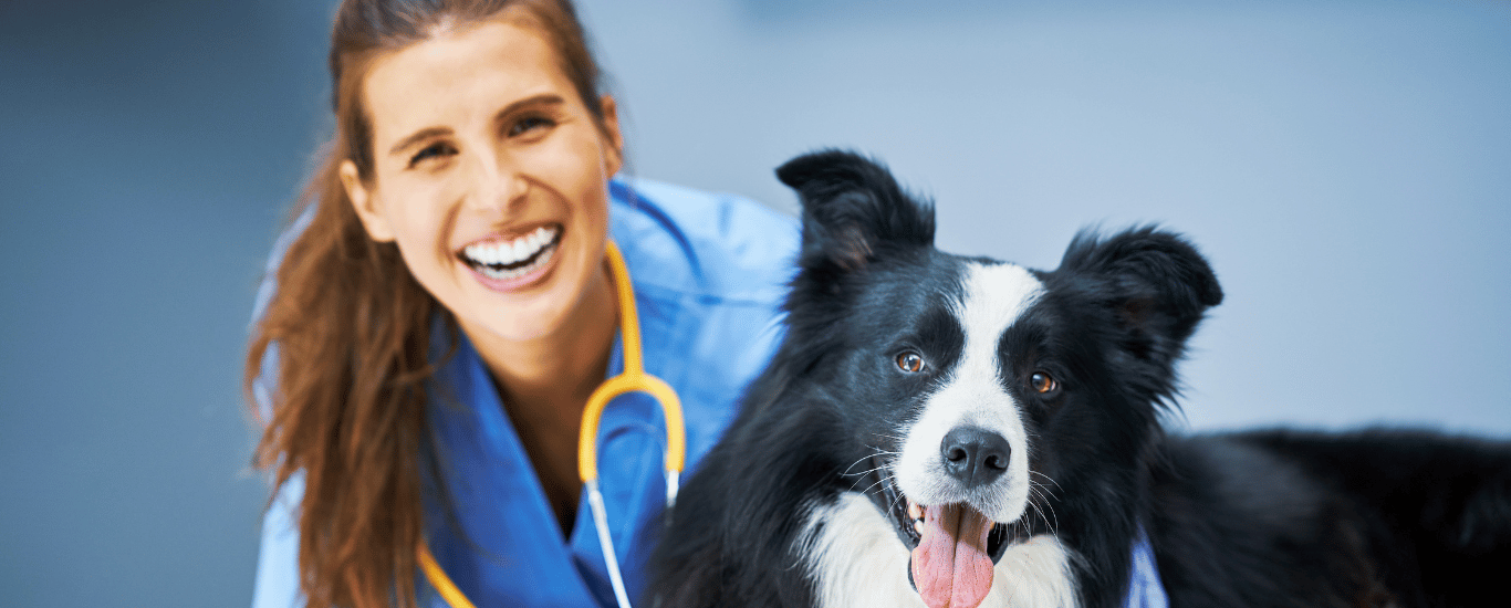 Guia-veterinarios-y-mascotas