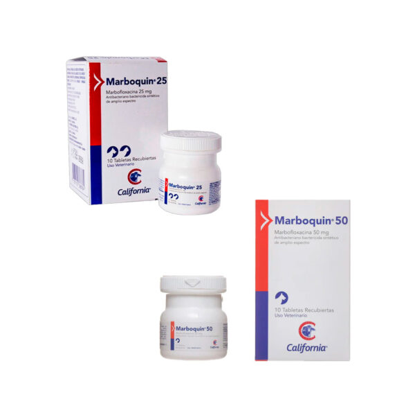 MARBOQUIN TAB FCO X10
