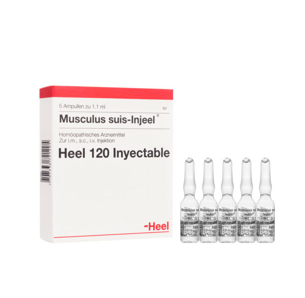 MUSCULUS SUIS INJEEL AMP 1.1 ML