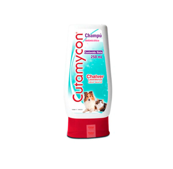 CHAMPU CUTAMYCON 2% X 250 ML