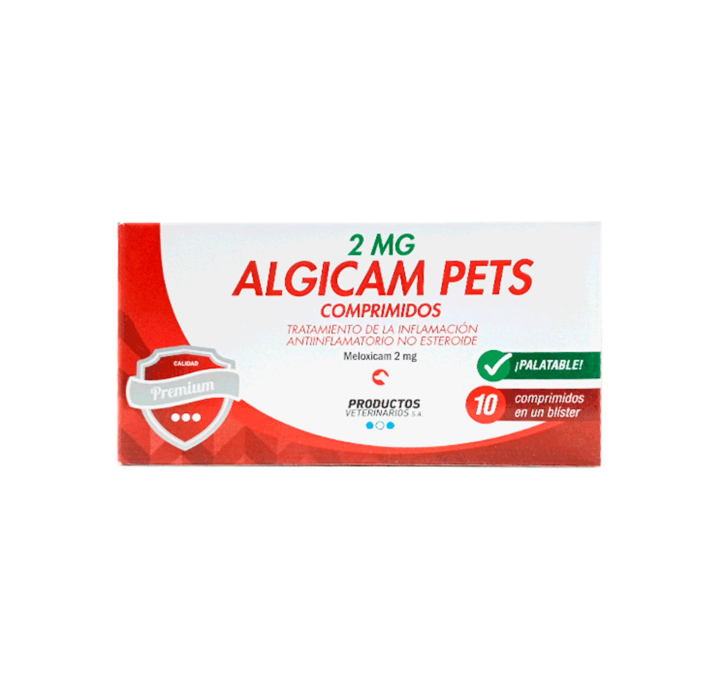 ALGICAM 2 MG BLISTER X 10 TAB