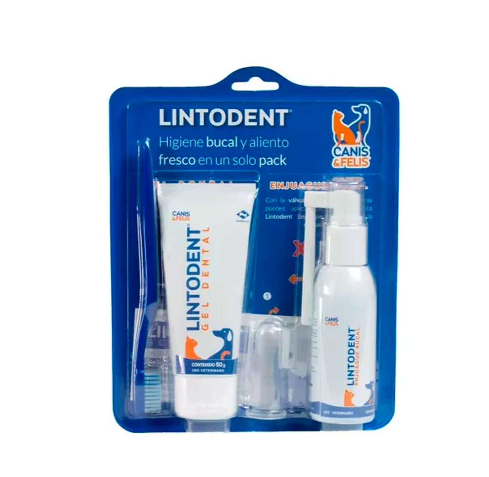 COMBO LINTODENT GEL DENTAL 50 GR + ENJUAGUE X 60 ML