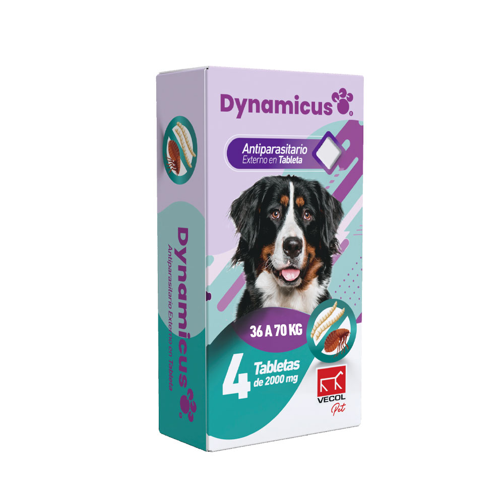 DYNAMICUS 36 A 70 KG