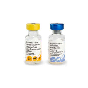 RECOMBITEK C8 X 1 DOSIS